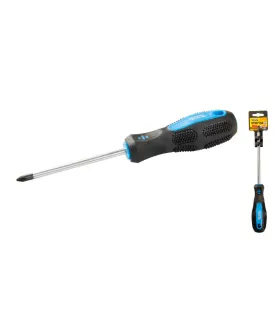 Skrutkovač magnetický MASTERTOOL Philips PH2*100 mm 48-5210