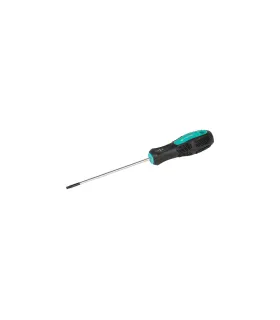 Skrutkovač magnetický MASTERTOOL TORX TT 10*100 mm 49-0101