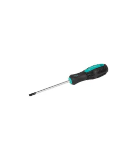 Skrutkovač magnetický MASTERTOOL TORX TT27*100 mm 49-0271