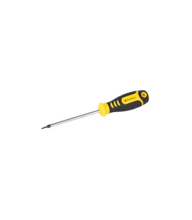 Skrutkovač magnetický MASTERTOOL TA2*100 mm 49-3210