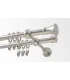 Satin nickel Ø 16 mm - Koloseo hladke